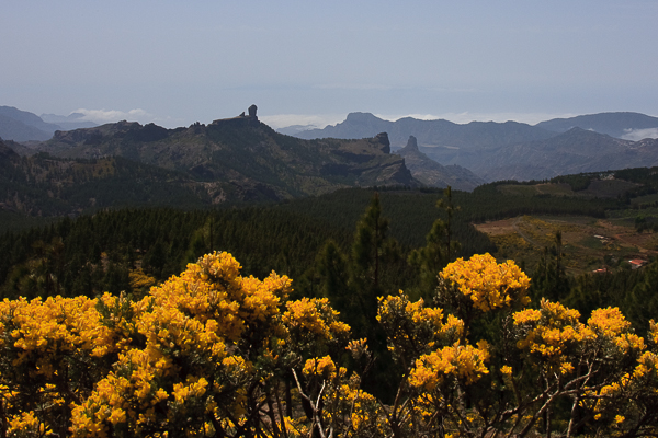 Gran Canaria