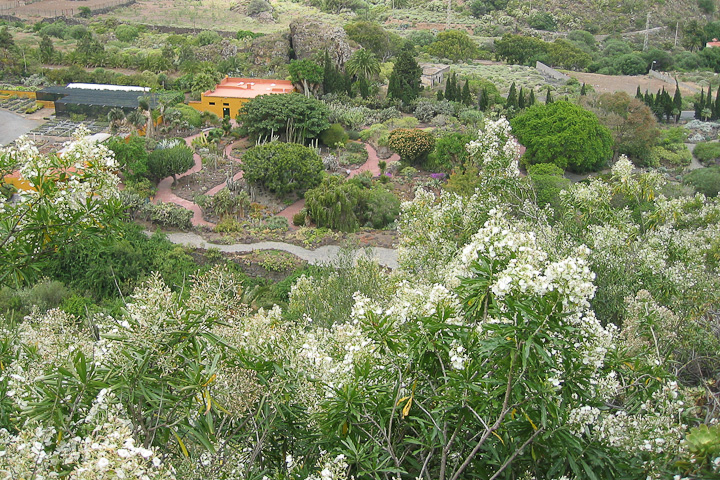 Jardín Canario